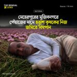 স্বাধীনতা দিবসে মেহেরপুরের মুজিবনগরে পেঁয়াজের দামে হতাশ কৃষকের নিজ জমিতে বিষপান